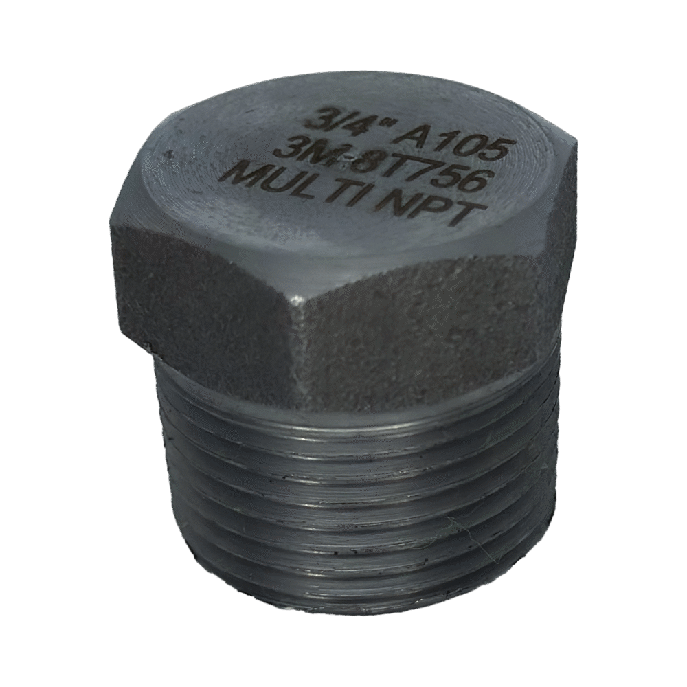 TAPA TORNILLO A-105 NPT 3000 - Imagen 2