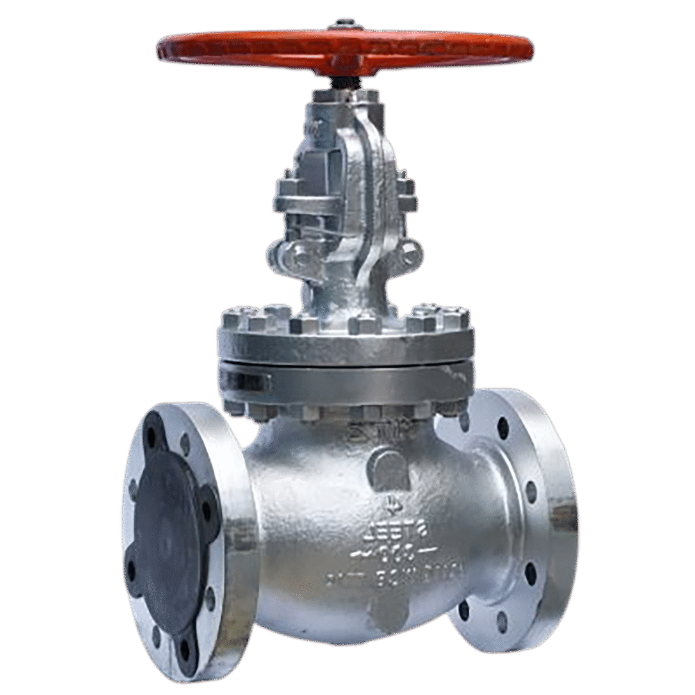 GLOBO 316/A-216 DUPLEX ANSI