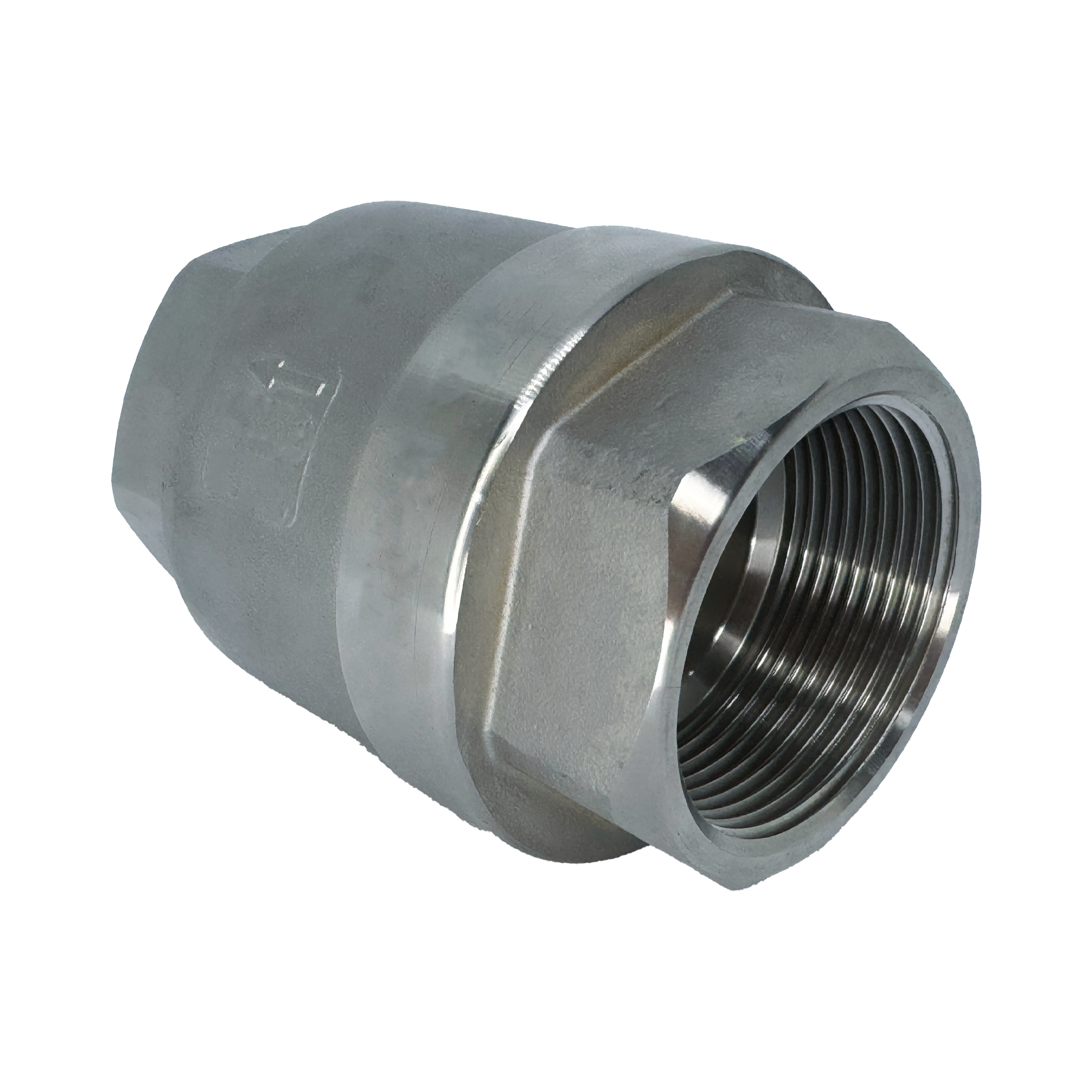 RETENCIÓN VERTICAL SS316 NPT Y/O BSP