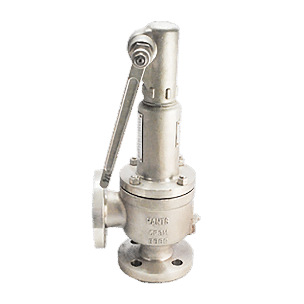 SEGURIDAD SS316L INT.SS316L CON. FLANGE 300