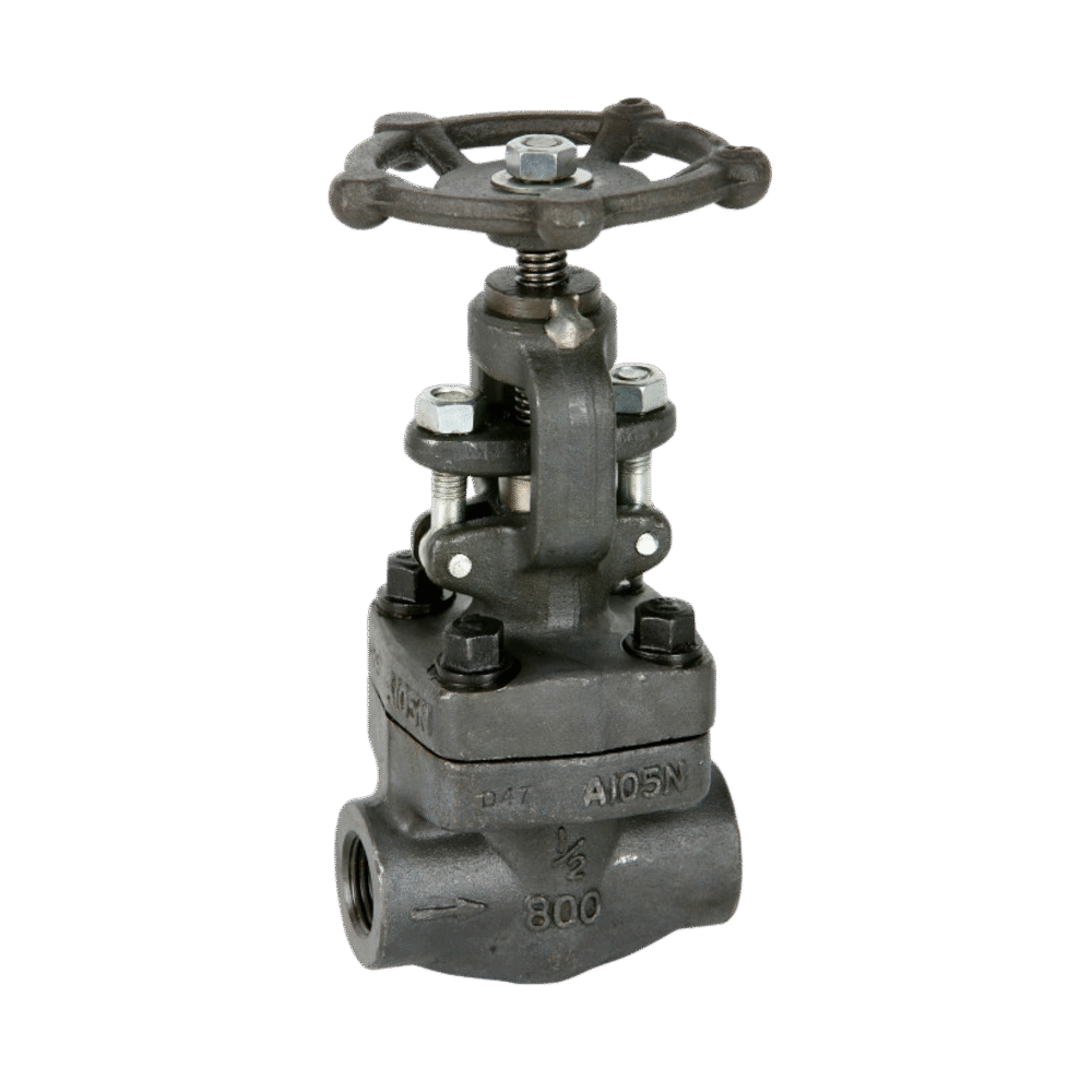 GLOBO A-105/CF8M/ALLOY 20 NPT Y/O SW